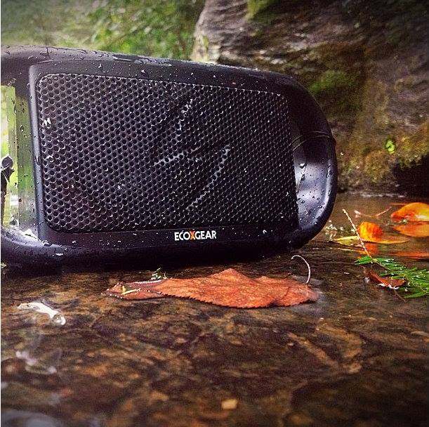 10410402_934219343259417_1758237548585949613_n