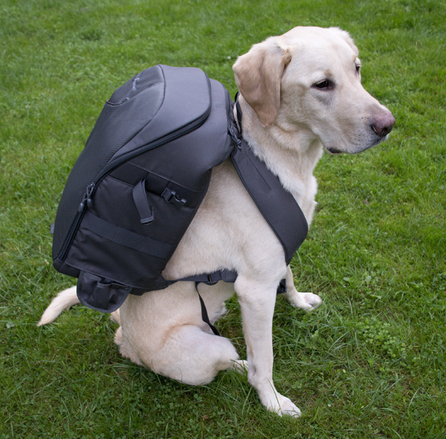 350AW-Backpack