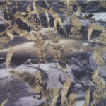 frabill-fishoflage