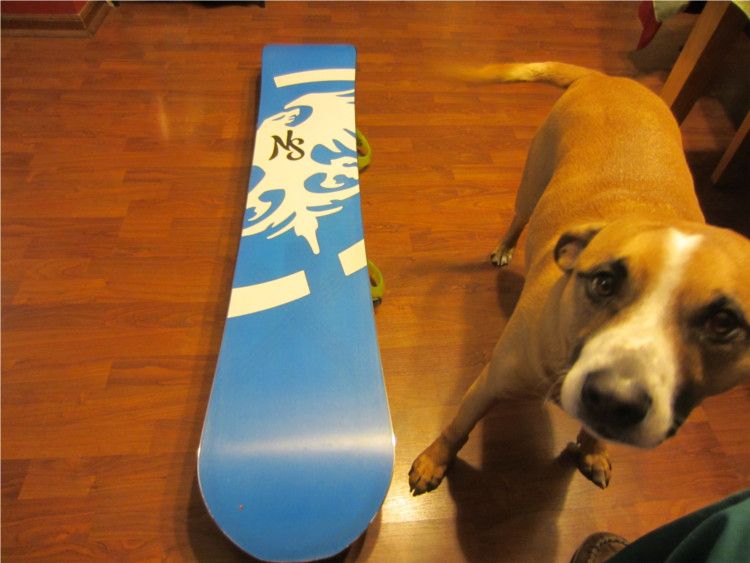 Even Ogie wants to shred the NS Raven - but you're a dude, DUDE... Seriously!