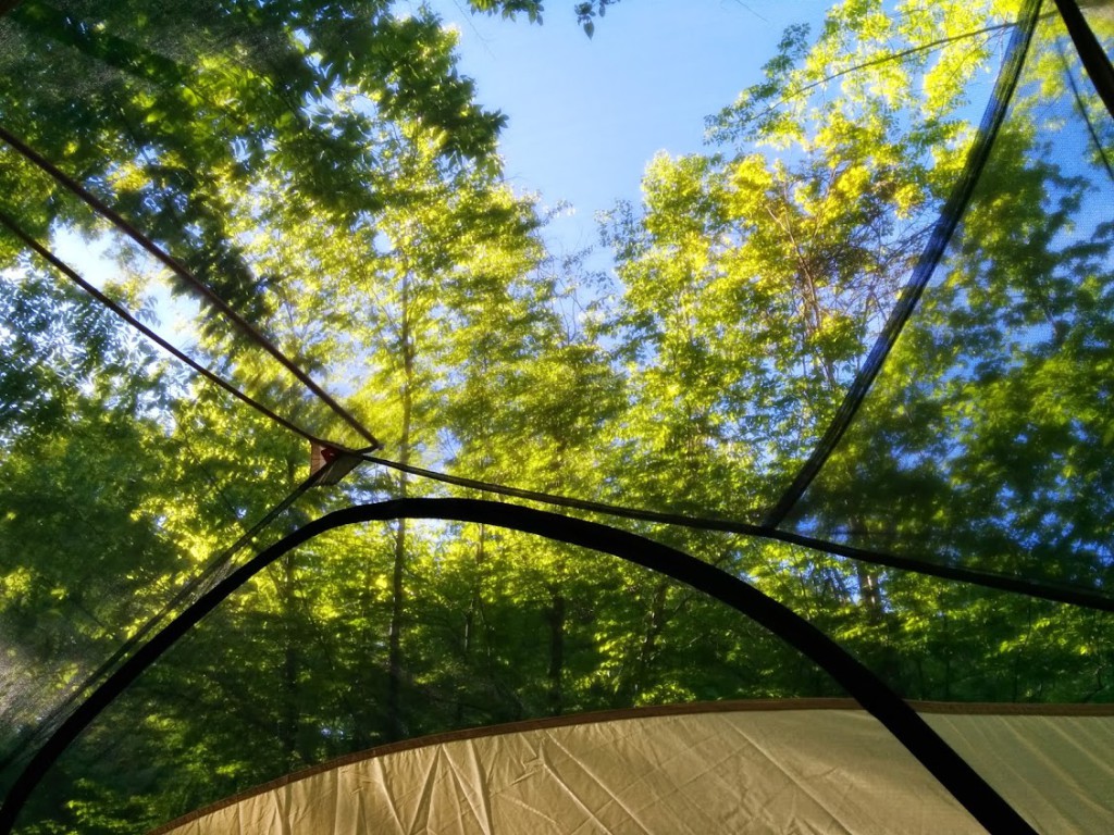 View looking up from inside the Big Agnes Copper Spur UL-3