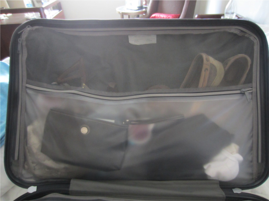 Spin Trunk Review