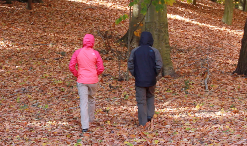 Screen Shot 2014-11-02 at 1.30.37 PM