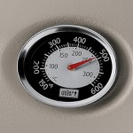 2013_10_10_20_36_27_Q1200_Thermometer_Feature