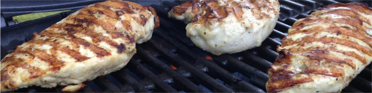 q1200 grill