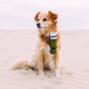 buckshot-pro-portable-speaker-doglight-570x570