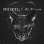 disclosure lorde