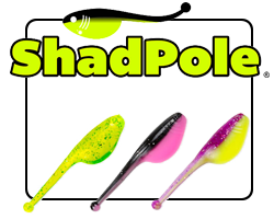 landing-shadpole