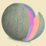 nvdes