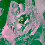 Salute-Diamond-Gold-Rush-New-Single-acid-stag-608x356