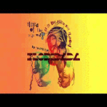 animal collective