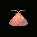 chairlift