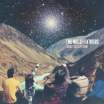 wild feathers