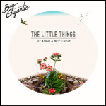 big-gigantic-little-things