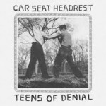 car seat headrest
