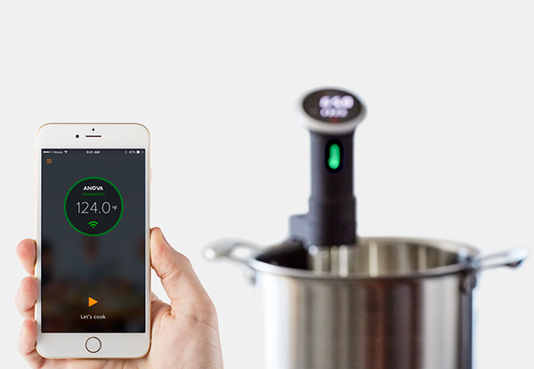 Anova Precision Cooker WiFi Review