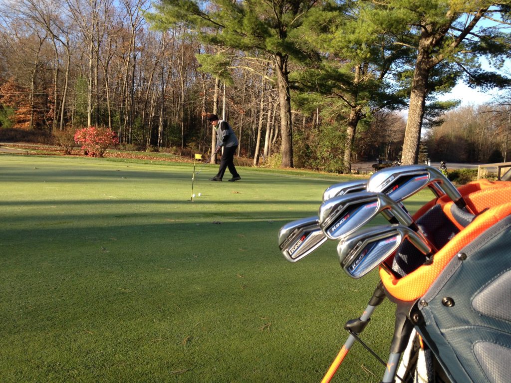 Cobra One Length