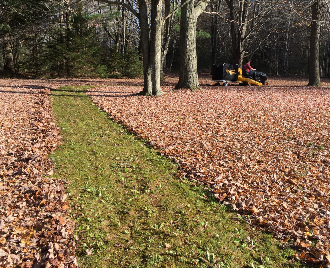 Cyclone Rake Review