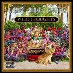 wild thoughts
