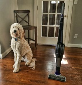 Black & Decker PET 2-IN-1 Vacuum Review