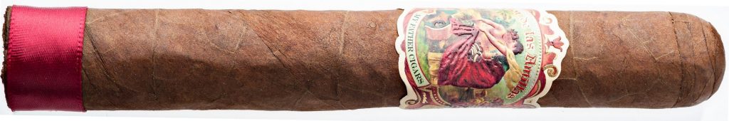 robusto