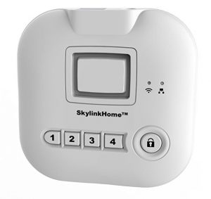 skylink-hub-busted-wallet