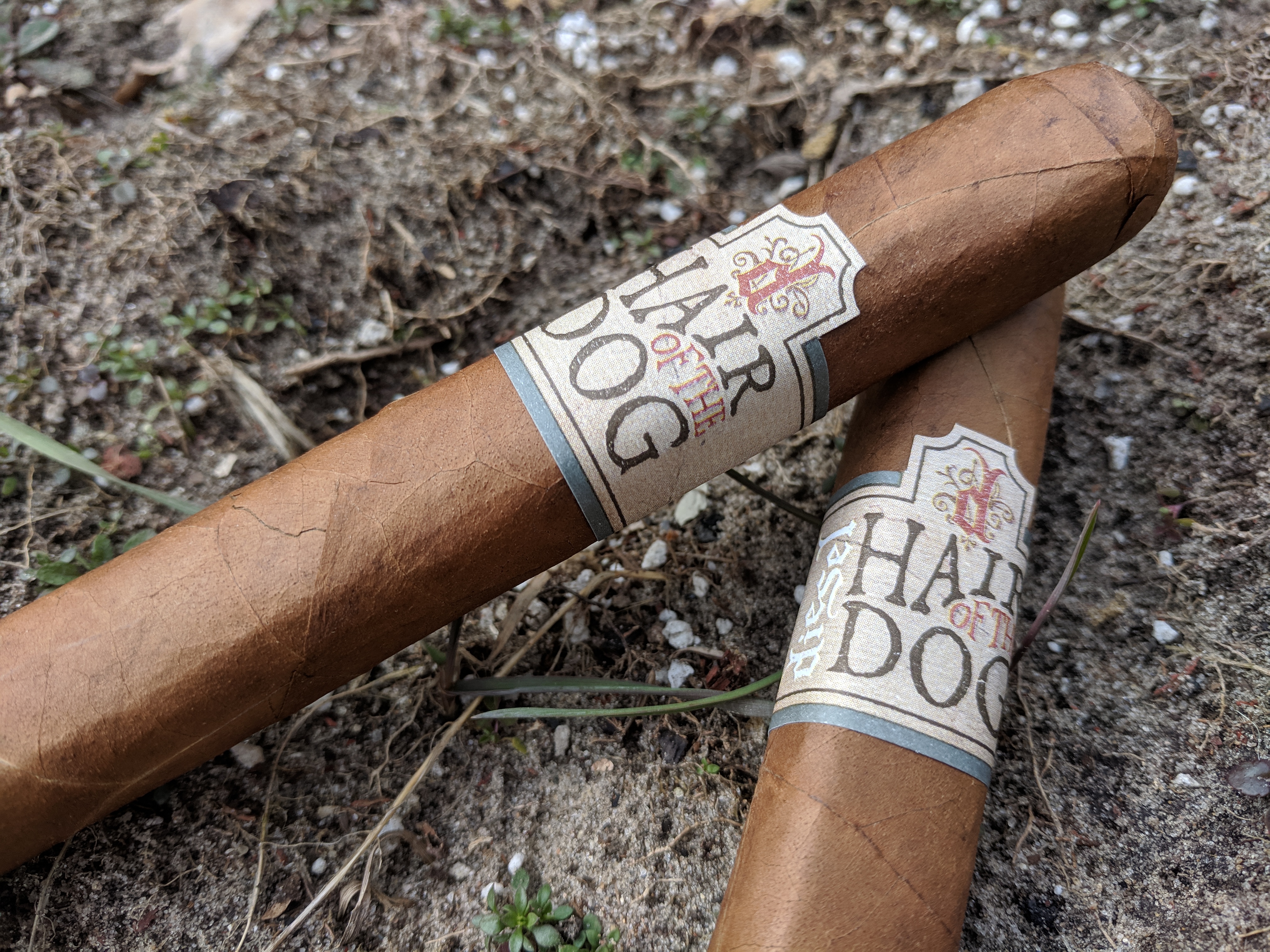 Hair of the Dog Review