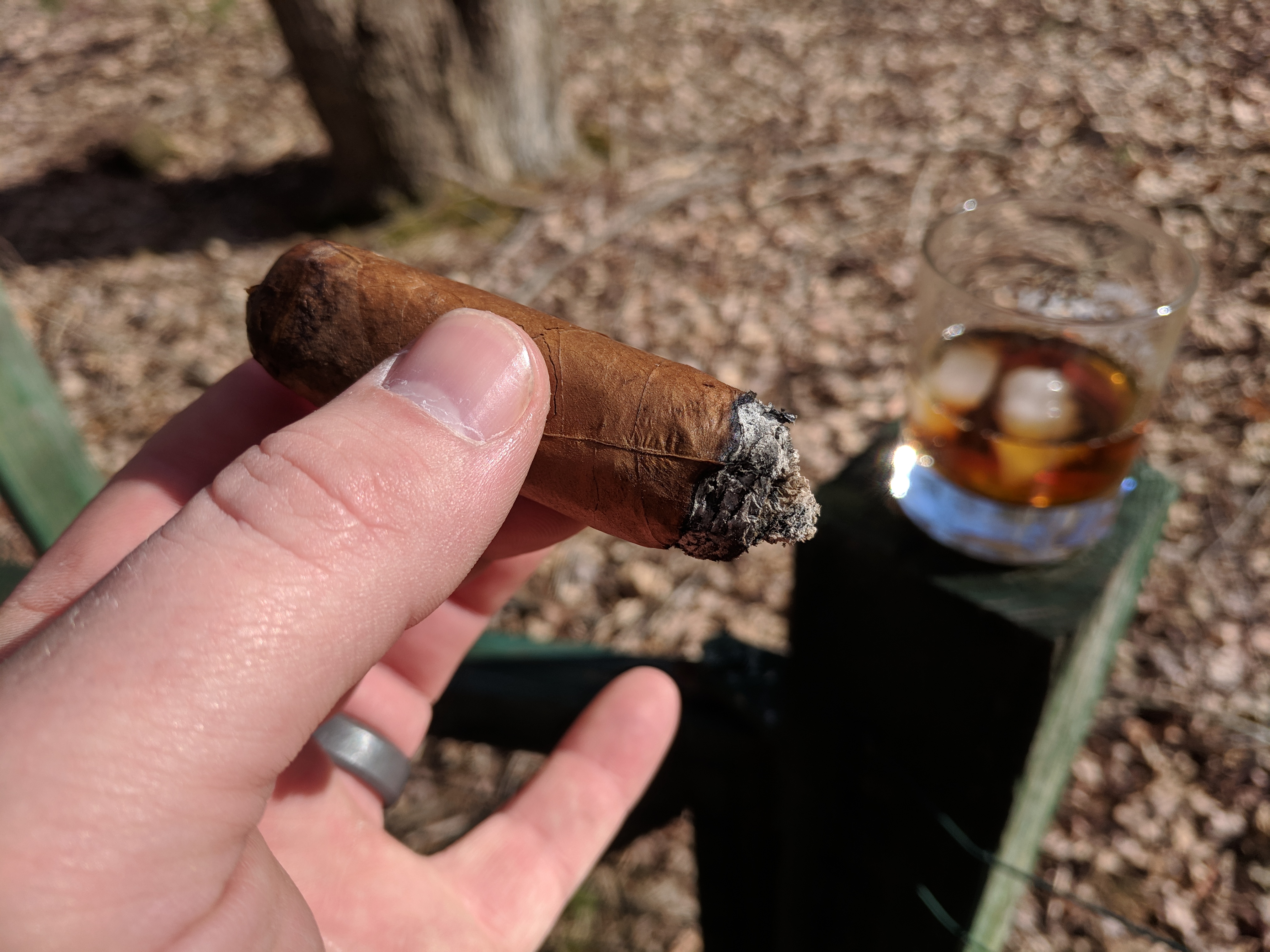 hair of the dog cigar review