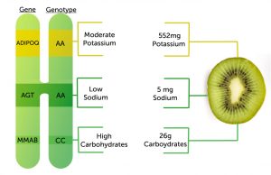 genebreakdowngenopalate